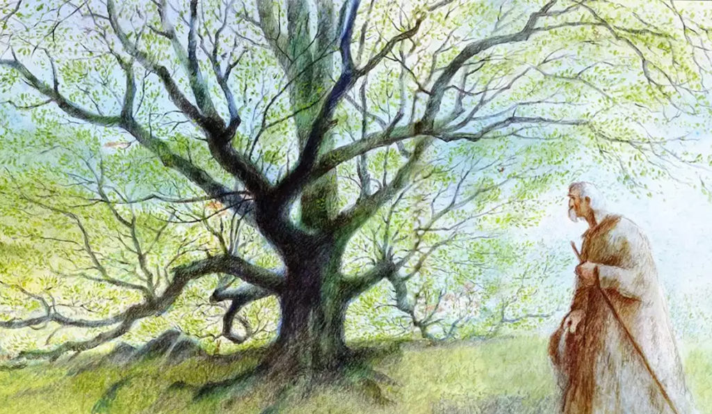L'Homme qui plantait des arbres - Mon cinéma québécois en France