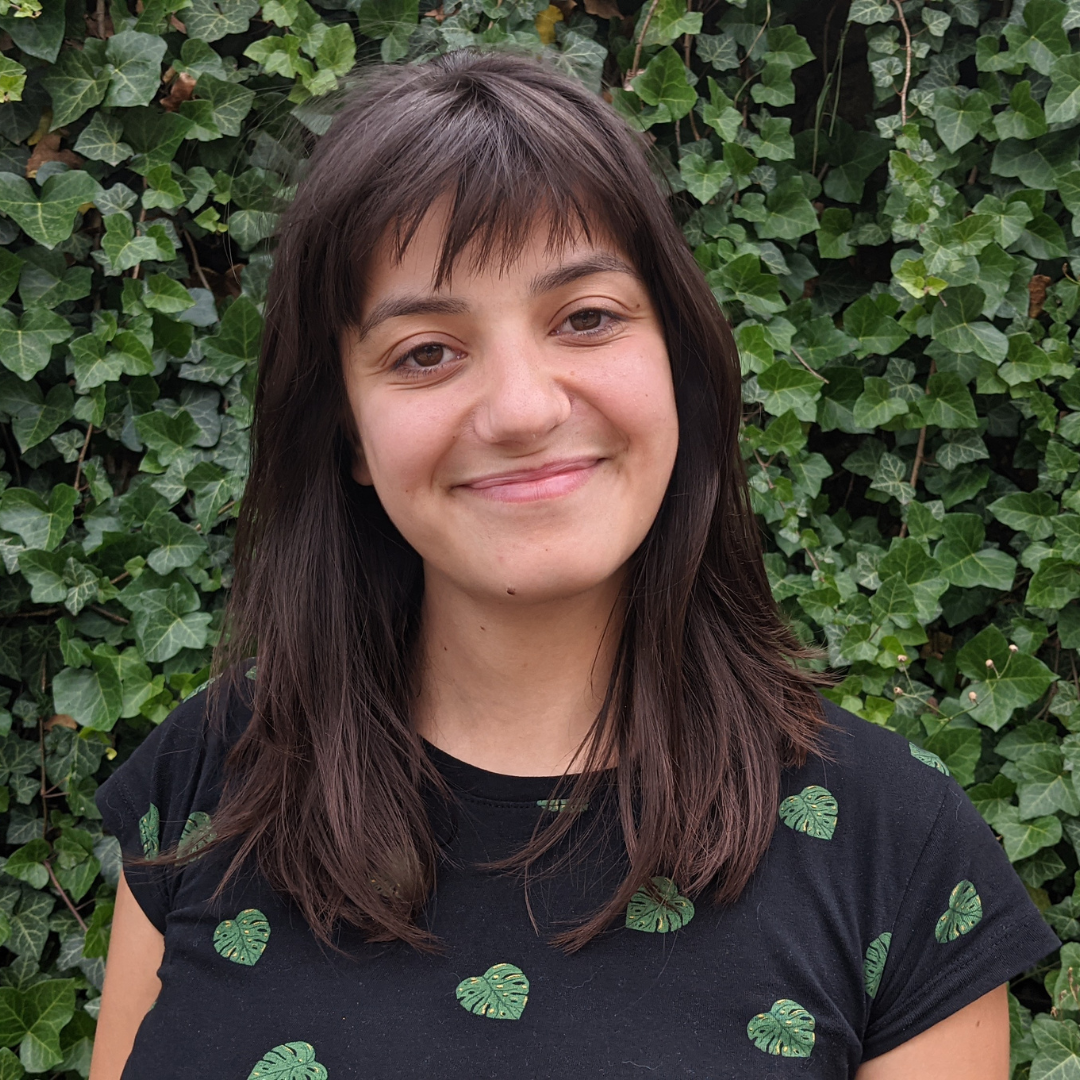 Équipe - Le cinéma québécois en France