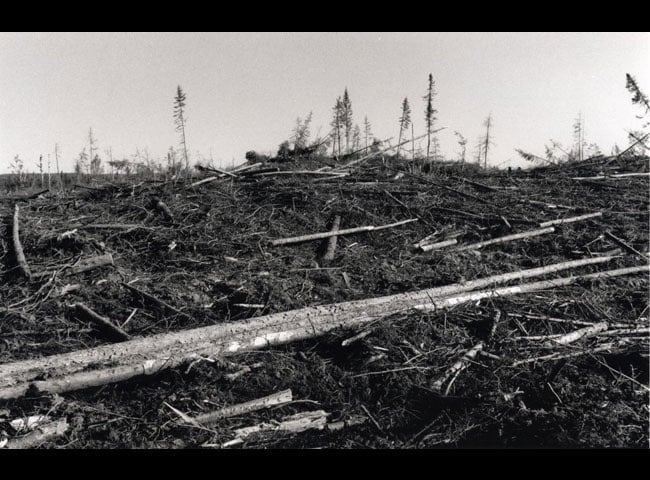 couverture l'erreur boréale